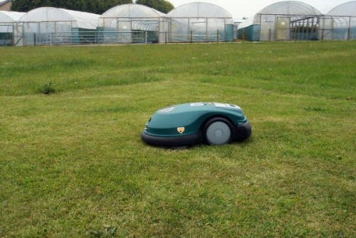 Showing contrast bewteen cut and not cut Showing contrast bewteen cut and not cut