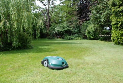 Paradise - near Newark, Notts Paradise - near Newark, Notts