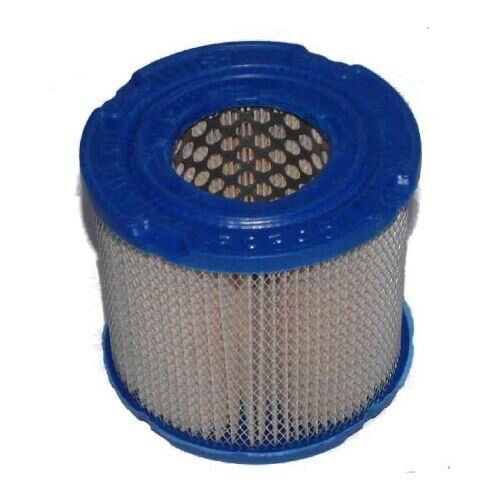 Briggs & Stratton Air Filter 393957S