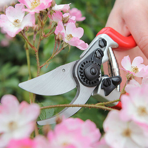 Darlac Expert Bypass Pruner Secateurs