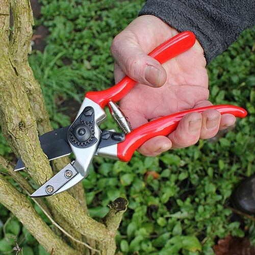 Darlac Expert Anvil Pruner Secateurs