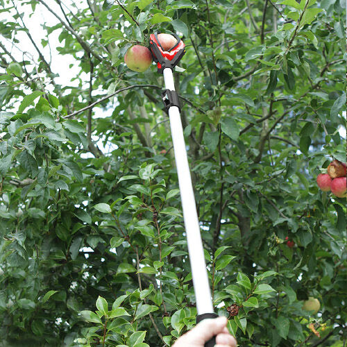 Darlac Telescopic Fruit Grabber