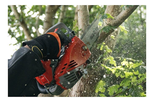 Mitox 265TX Premium Lightweight Top Handle Chainsaw 25cm / 25cc