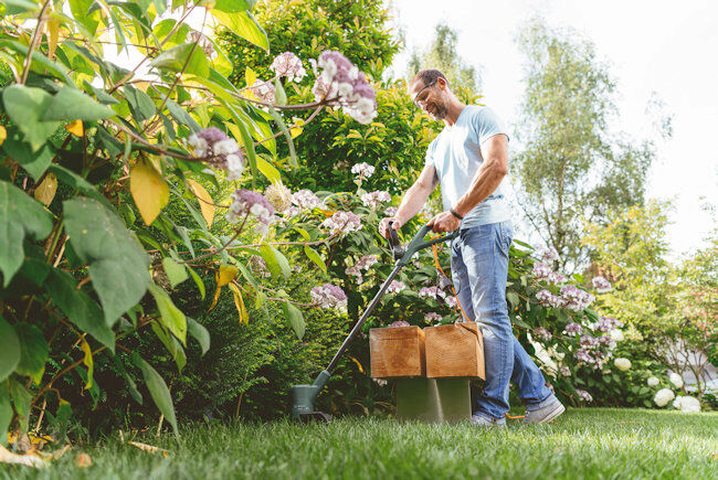 Bosch EasyGrassCut 23 Electric Grass Trimmer 280w / 23cm