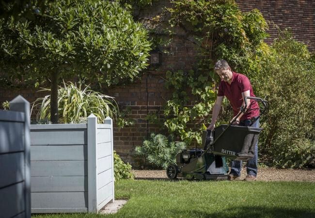 Hayter Harrier 41 Autodrive Petrol Roller Lawnmower - 41cm