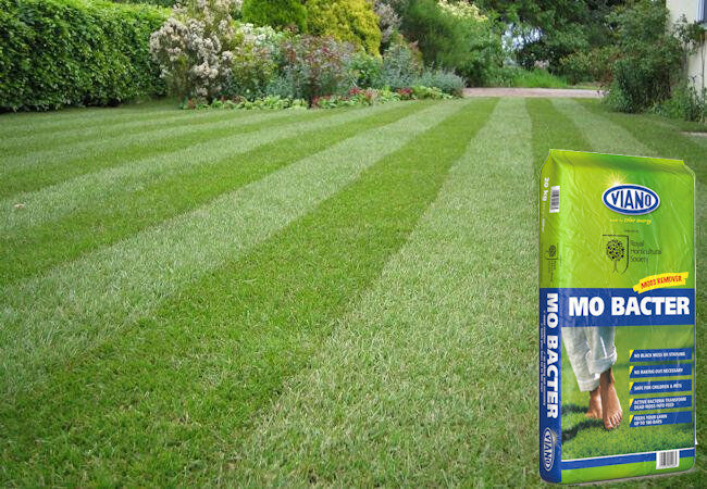 Viano MO Bacter Organic Lawn Fertiliser - 10kg