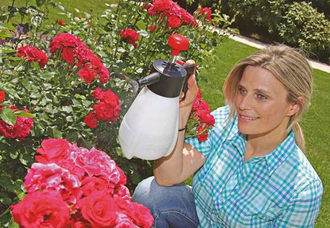 SOLO 403 Garden Sprayer 1.25 Litre c/w Adjustable Nozzle 