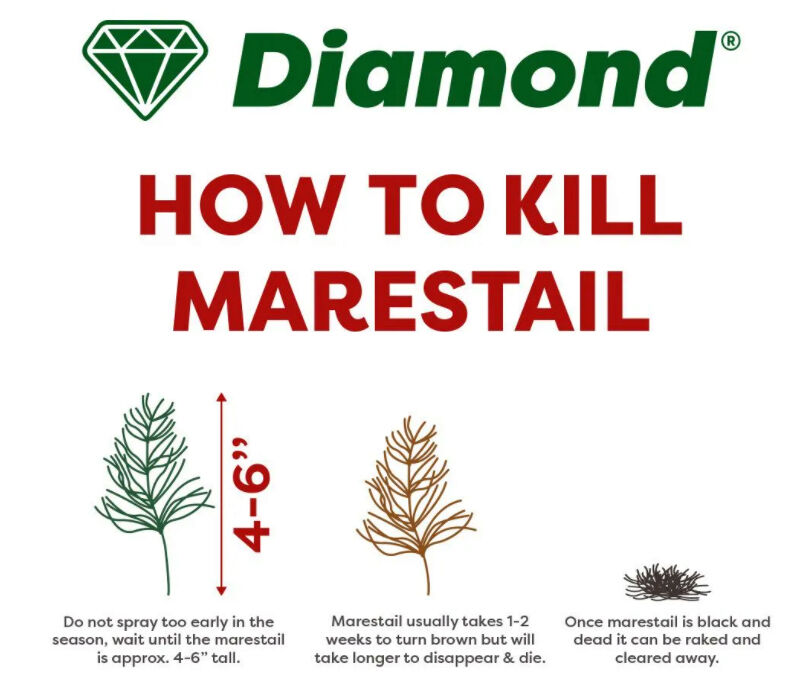 Diamond Horse Tail Total Weed Control 5L