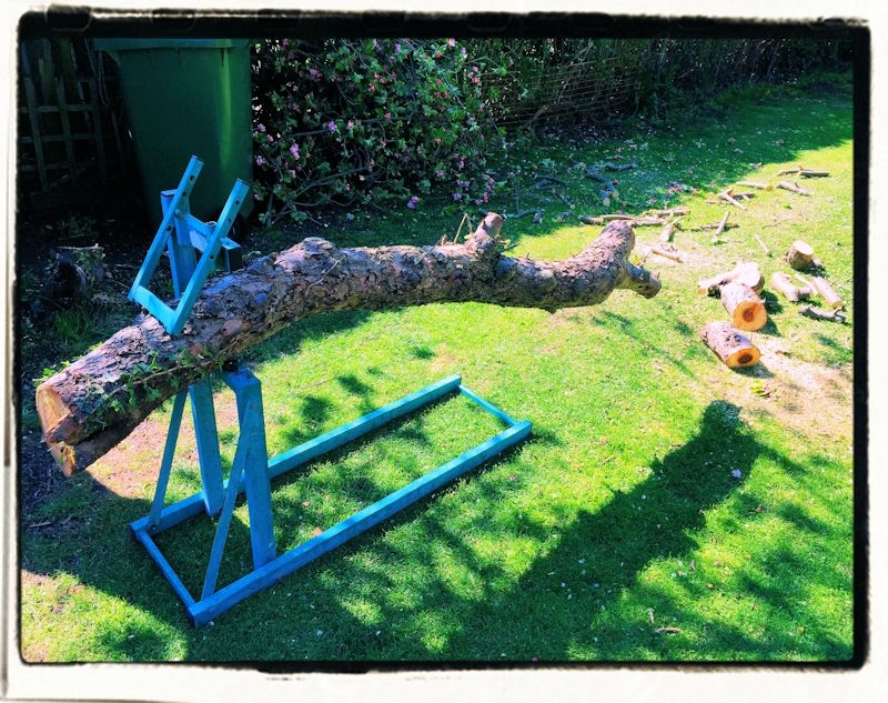 The Smart Sawhorse The Smart Sawhorse