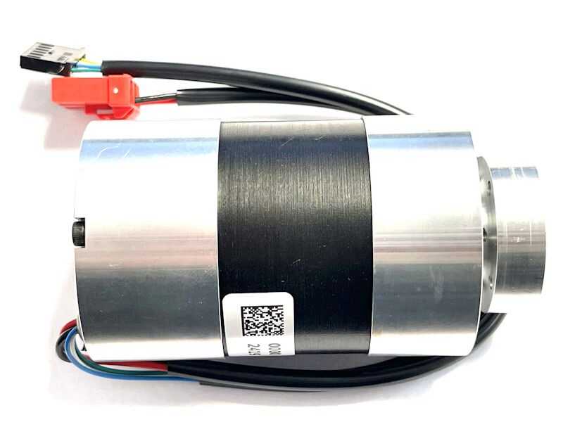 Ambrogio Blade Motor C02452       (Motore Lama)