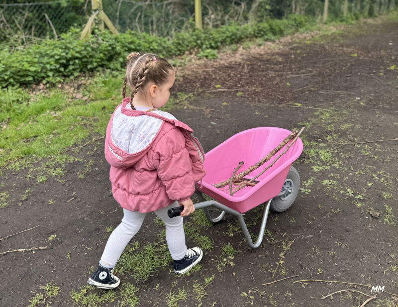 County Junior Childs Wheelbarrow - Pink