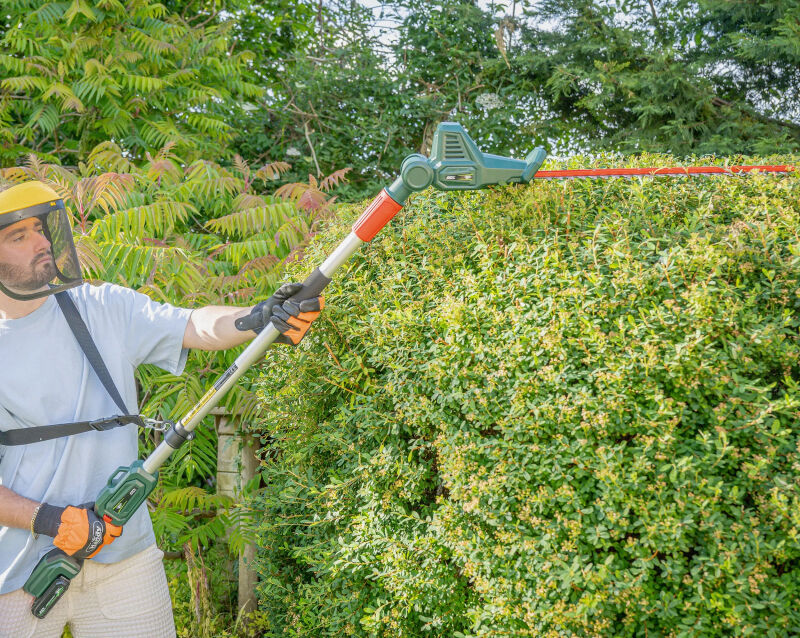 Webb Cordless Long Reach Hedge Trimmer & Pruner  20v / 50cm (Tool Only)