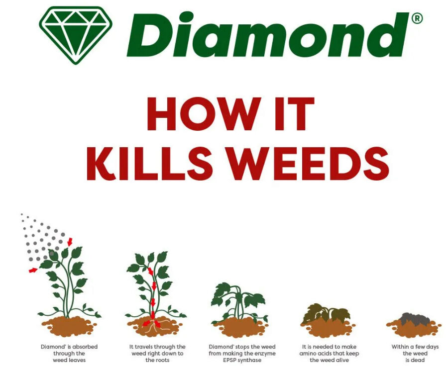 Diamond Horse Tail Total Weed Control 5L