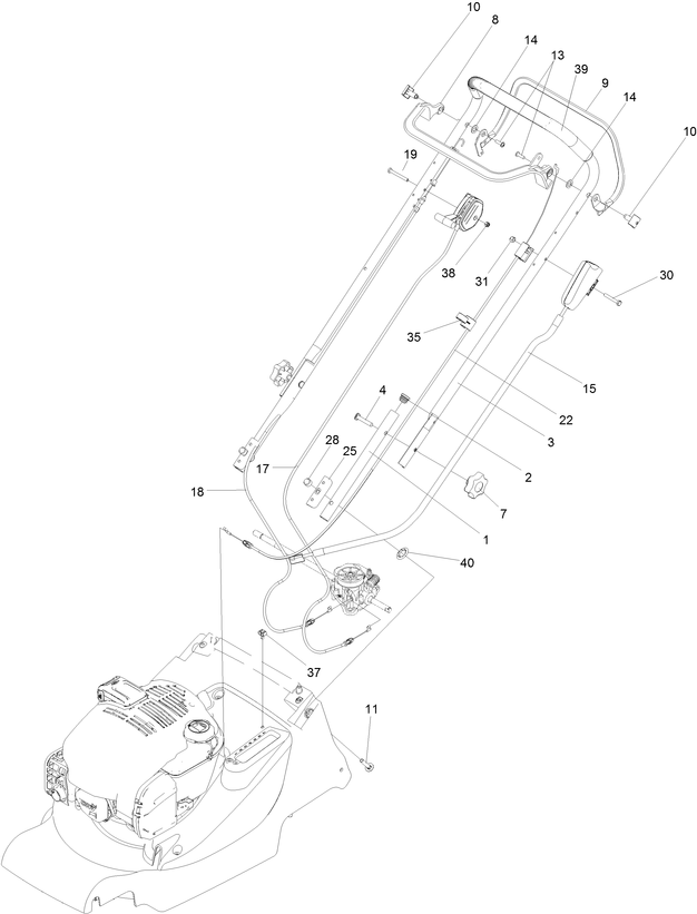 Handlebar & Controls