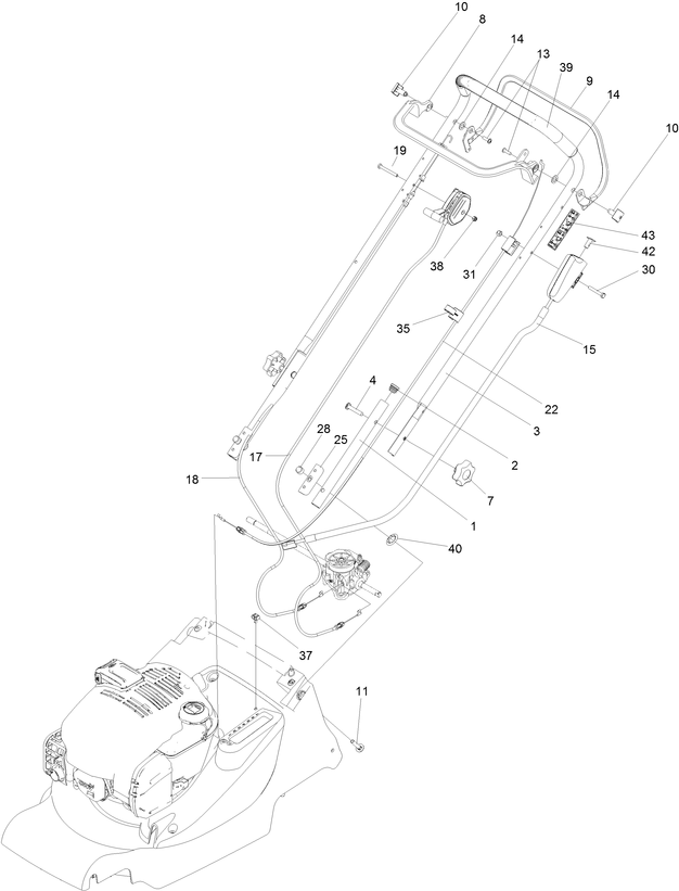 Handlebar & Controls