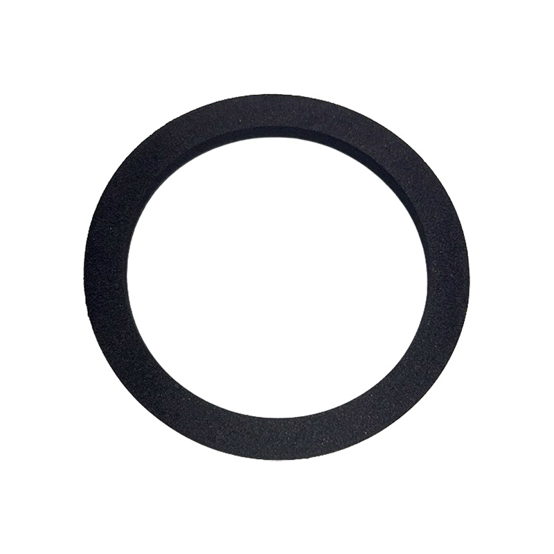 Ambrogio Gasket Guarnizione L20Z06700B