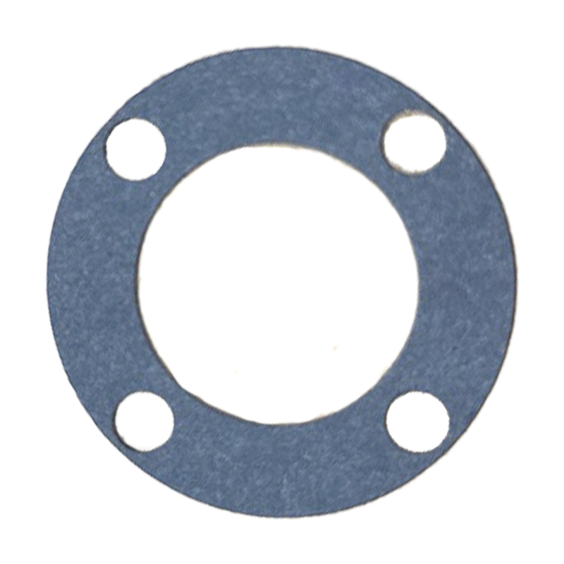 Ambrogio Gasket Guarnizione L25Z05700A