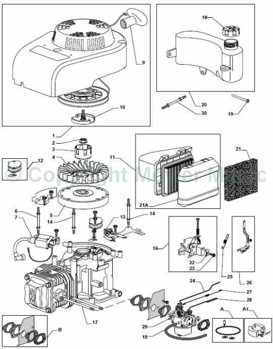 Engine - GGP WBE0702 - Mountfield S461R HP (2010 - 2011) 294486043/M10