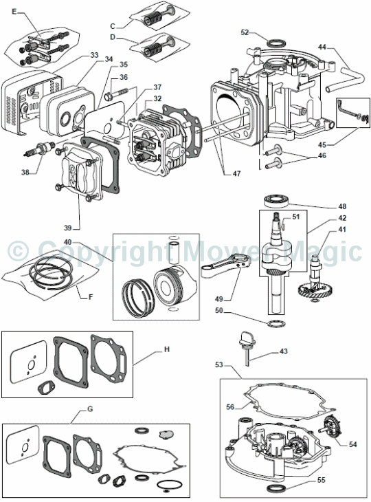 Engine - GGP WBE0702 continued - Mountfield S461R HP (2010 - 2011) 294486043/M10