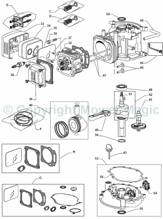 Engine - GGP WBE0702 continued - Mountfield S461R PD (2010 - 2011) 294489043/M10