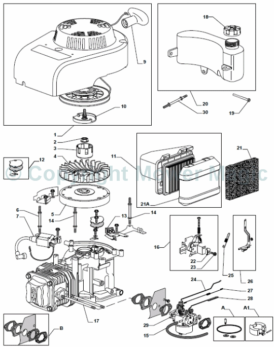 Engine - GGP WBE0702 - Mountfield S461R PD (2010 - 2011) 294489043/M10