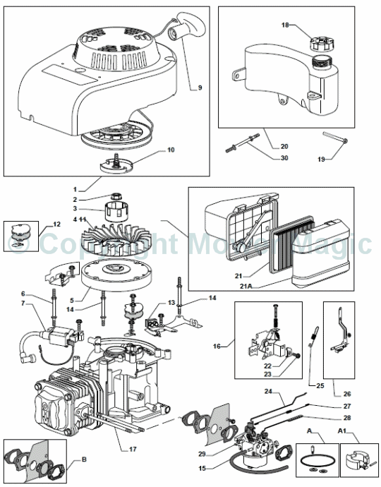 Engine - GGP WBE0701 - Mountfield S464PD (2010 - 2011) 299483043/M10