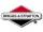 Common Briggs and Stratton Spare Parts