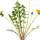 Chemical Weed Killer