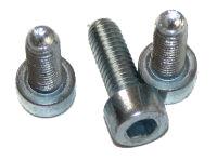 Guards Bolts x4