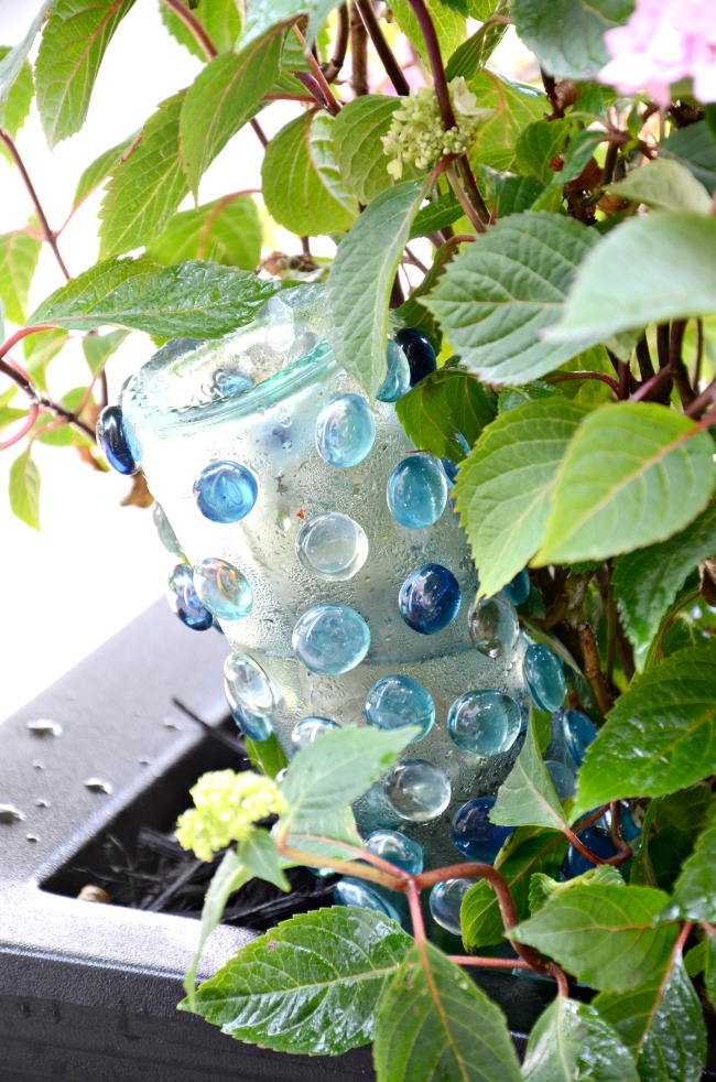 A WINE BOTTLE TURNED INTO A SELF- WATERING SYSTEM.