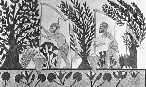 ирригационное земледелие в древнем египте