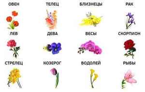 Цветы и гороскоп