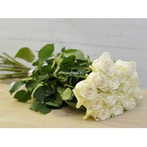 15 белых роз голландия