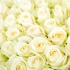 Букет "101 белая роза"